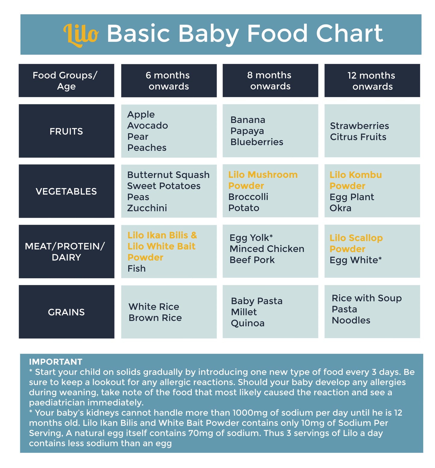 Lilo Premium Scallop Powder Bottle 50grams - Lilo Premium Ikan Bilis Powder