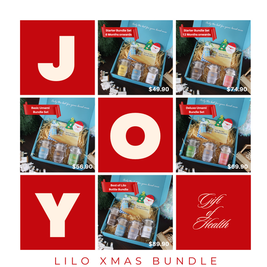 Xmas Lilo Bundle Set